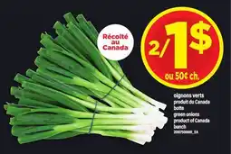 Maxi OIGNONS VERTS, BOTTE | GREEN ONIONS, BUNCH offer