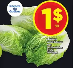 Maxi CHOU NAPA | NAPA offer