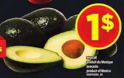 Maxi AVOCAT | avocado offer