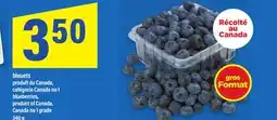 Maxi BLEUETS | BLUEBERRIES, 340 G offer