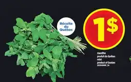 Maxi MINT | MINT offer
