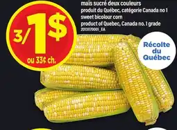 Maxi MAÏS SUCRÉ DEUX COULEURS offer
