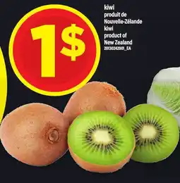 Maxi KIWI | KIWI offer