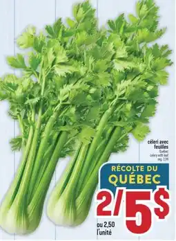 Marché Adonis Céleri avec feuilles | celery with leaf offer