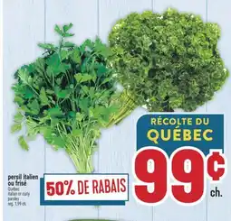Marché Adonis PERSIL ITALIEN OU FRISÉ | ITALIAN OR CURLY PARSLEY offer