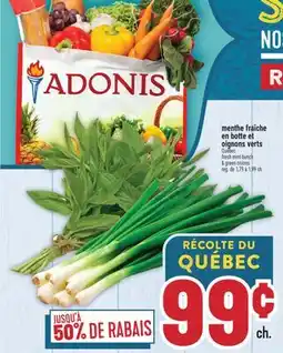 Marché Adonis MENTHE FRAÎCHE EN BOTTE ET OIGNONS VERTS | FRESH MINT BUNCH & GREEN ONIONS offer