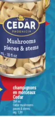 Marché Adonis CHAMPIGNONS EN MORCEAUX CEDAR | CEDAR MUSHROOMS PIECES & STEMS offer