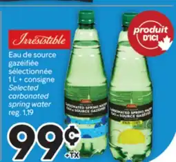Brunet IRRESISTIBLE Eau de source gazéifiée sélectionnéeée offer