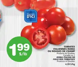 Marches Tradition ROMA ITALIAN OR FIELD RED TOMATOES offer