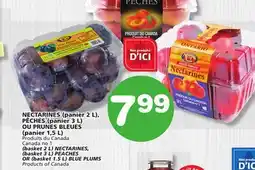Marches Tradition NECTARINES, (basket 3 L) PEACHES OR (basket 1.5 L) BLUE PLUMS offer