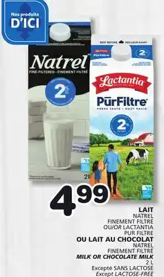 Marches Tradition LAIT NATREL, NATREL MILK OR CHOCOLATE MILK offer