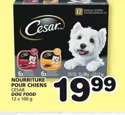 Marches Tradition CESAR DOG FOOD offer