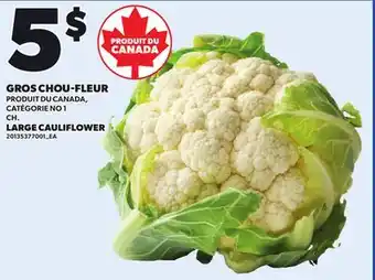 Provigo GROS CHOU-FLEUR offer