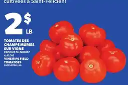 Provigo VINE RIPE FIELD TOMATOES offer
