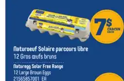 Provigo NATUREGG SOLAR FREE RANGE, 12 LARGE BROWN EGGS offer