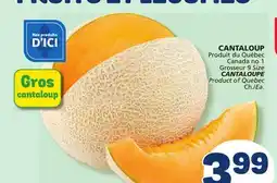 Marché Bonichoix CANTALOUPE offer