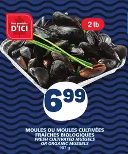 Marché Bonichoix FRESH CULTIVATED MUSSELS OR ORGANIC MUSSELS offer