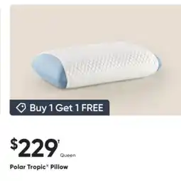 Dormez Vous Polar Tropic Pillow offer