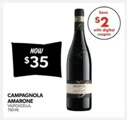 Real Canadian Liquorstore CAMPAGNOLA AMARONE offer