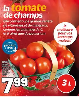 Metro la tomate de champs offer