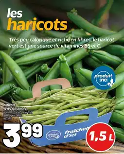 Metro haricots verts ou jaunes offer
