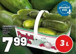 Metro cornichons frais offer