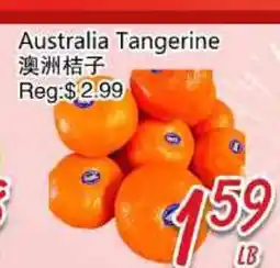 Foody Mart Austria Tangerine offer
