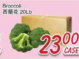 Foody Mart Broccoli offer