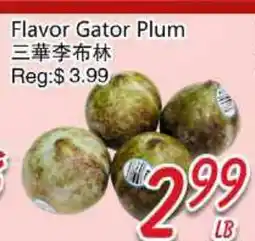 Foody Mart FLAVOR GATOR PLUM offer
