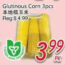 Foody Mart GLUTINOUS CORN offer