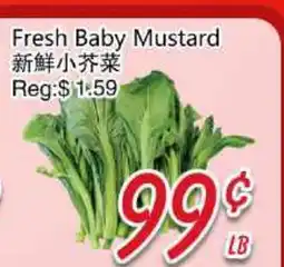 Foody Mart Fresh Baby Mustard offer
