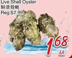 Foody Mart Live Shell Oyster offer