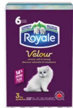 Walmart Royale facial tissue 6-pack offer