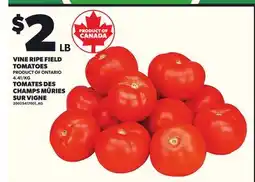 Independent Grocer VINE RIPE FIELD TOMATOES offer