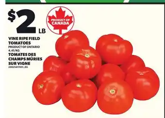Independent Grocer VINE RIPE FIELD TOMATOES offer