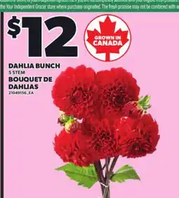 Independent Grocer DAHLIA BUNCH 5 STEM offer