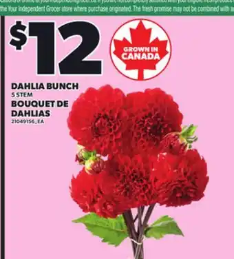 Independent Grocer DAHLIA BUNCH 5 STEM offer