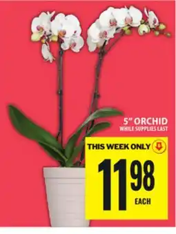 Food Basics 5 ORCHID offer