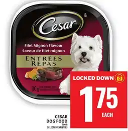 Food Basics CESAR DOG FOOD offer