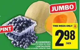 Food Basics BLUEBERRIES OR CANTALOUPE offer