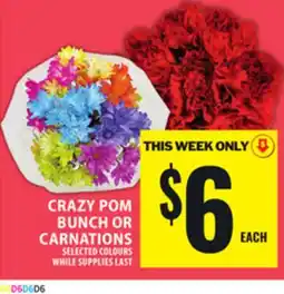 Food Basics CRAZY POM BUNCH OR CARNATIONS offer