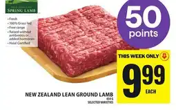 Food Basics NEW ZEALAND LEAN GROUND LAMB offer