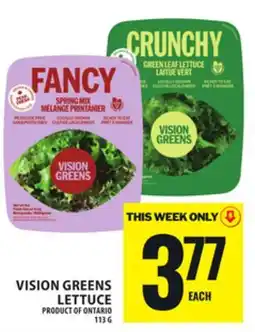 Food Basics VISION GREENS LETTUCE offer