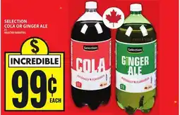 Food Basics SELECTION COLA OR GINGER ALE offer