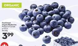 Longo's Fresh Sweet Organic Blueberries offer