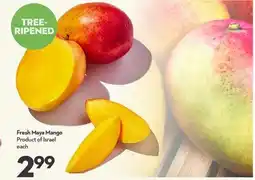 Longo's Fresh Maya Mango offer