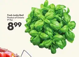 Longo's Fresh Jumbo Basil offer