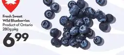 Longo's Fresh Sweet Wild Blueberries offer
