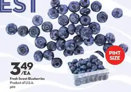 Longo's Fresh Sweet Blueberries offer