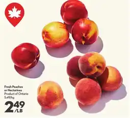 Longo's Fresh Peaches or Nectarines offer
